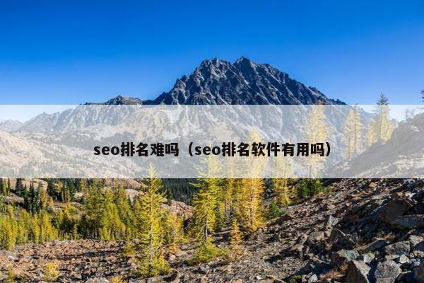 seo排名难吗（seo排名软件有用吗）