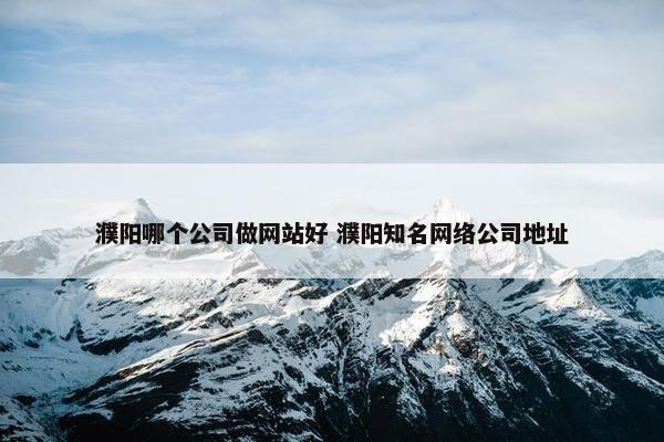 濮阳哪个公司做网站好 濮阳知名网络公司地址