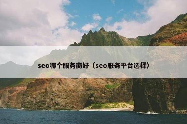 seo哪个服务商好（seo服务平台选择）