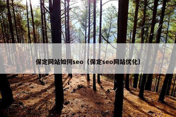 保定网站如何seo（保定seo网站优化）