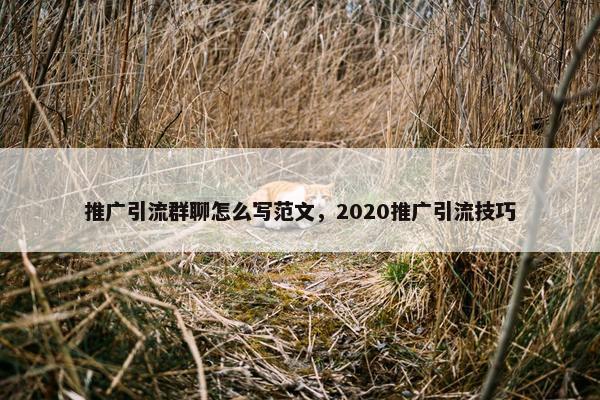 推广引流群聊怎么写范文，2020推广引流技巧