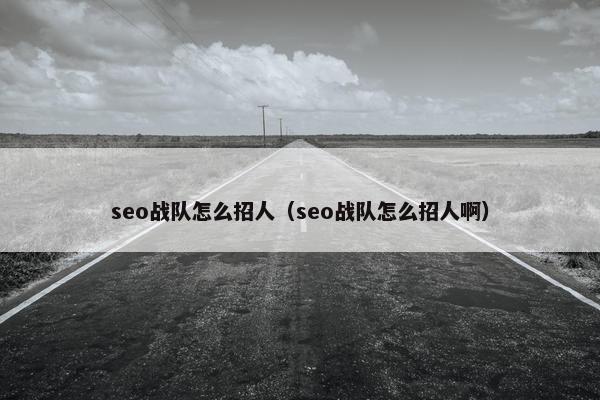 seo战队怎么招人（seo战队怎么招人啊）