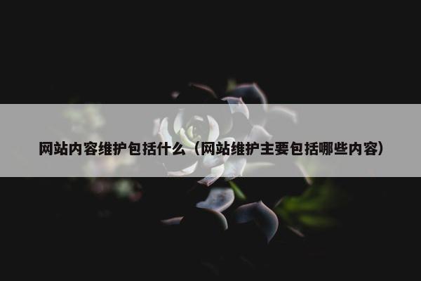 网站内容维护包括什么（网站维护主要包括哪些内容）