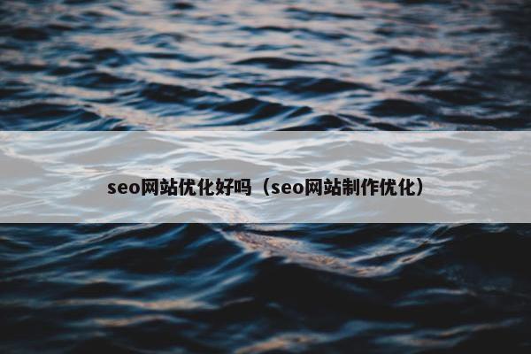 seo网站优化好吗（seo网站制作优化）