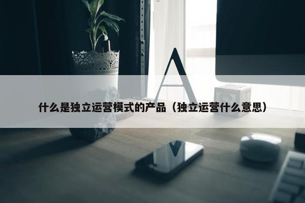 什么是独立运营模式的产品（独立运营什么意思）