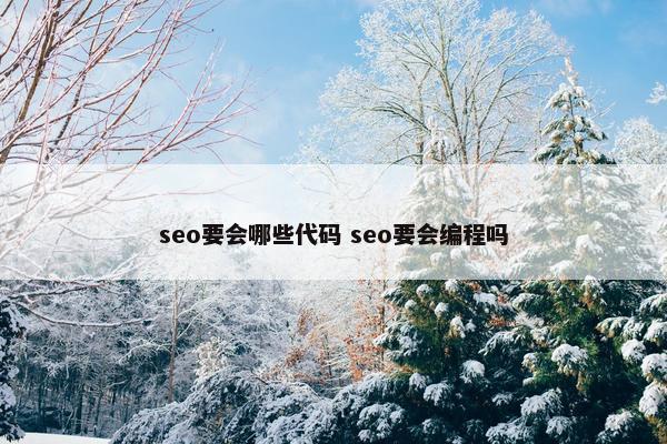 seo要会哪些代码 seo要会编程吗