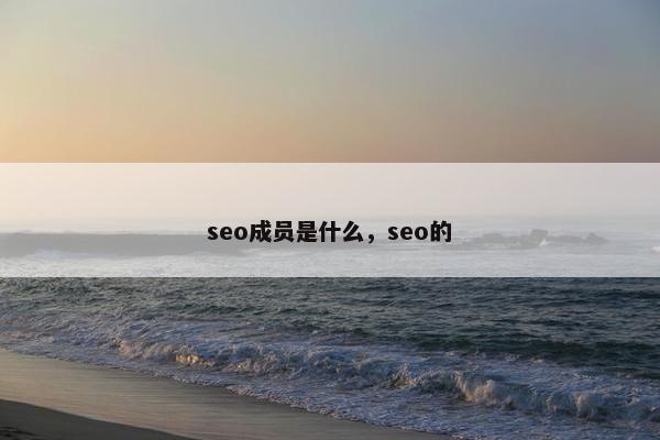 seo成员是什么，seo的