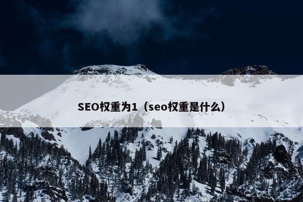 SEO权重为1（seo权重是什么）