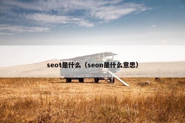 seot是什么（seon是什么意思）