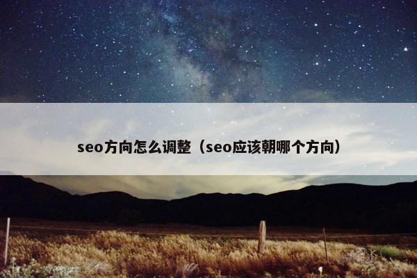 seo方向怎么调整（seo应该朝哪个方向）