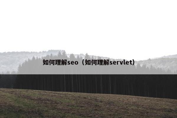 如何理解seo（如何理解servlet）