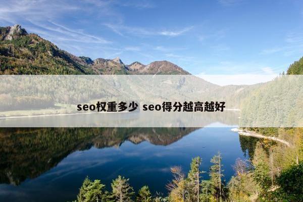 seo权重多少 seo得分越高越好