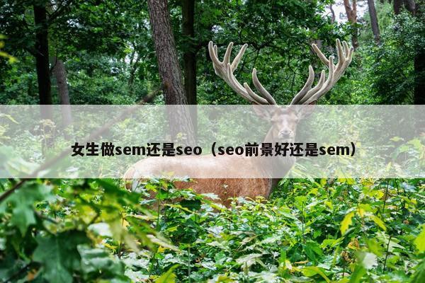 女生做sem还是seo（seo前景好还是sem）