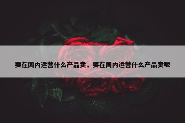 要在国内运营什么产品卖，要在国内运营什么产品卖呢