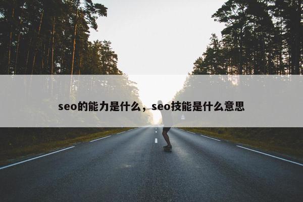 seo的能力是什么，seo技能是什么意思