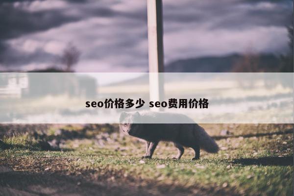 seo价格多少 seo费用价格