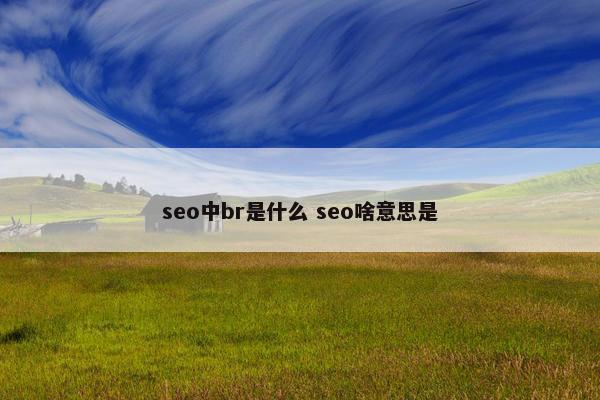 seo中br是什么 seo啥意思是