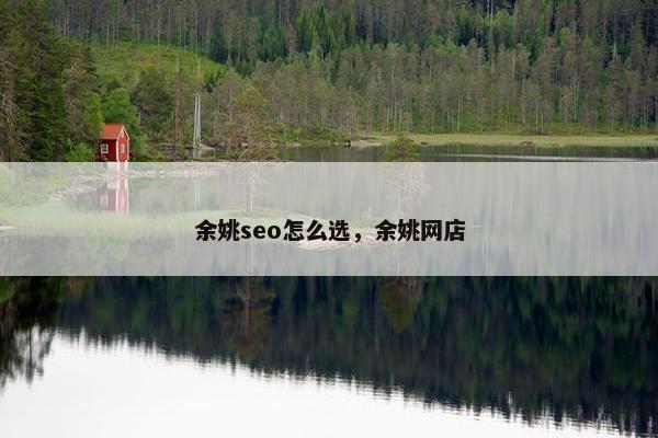 余姚seo怎么选，余姚网店