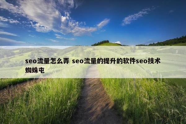 seo流量怎么弄 seo流量的提升的软件seo技术蜘蛛屯