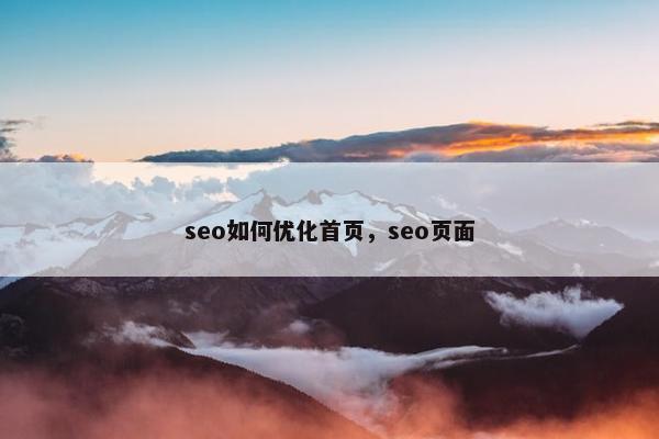 seo如何优化首页，seo页面