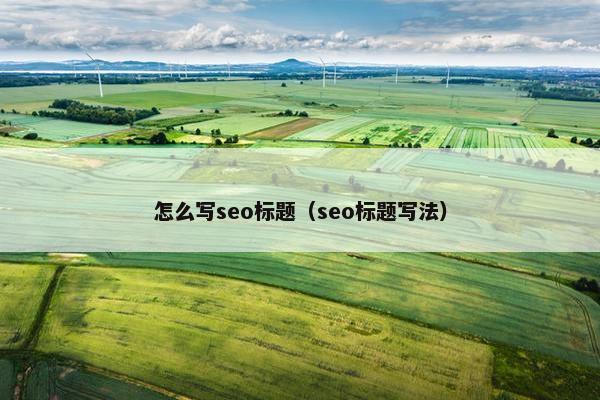 怎么写seo标题（seo标题写法）