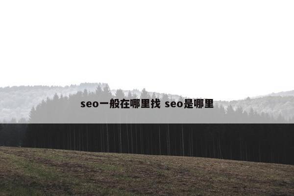 seo一般在哪里找 seo是哪里