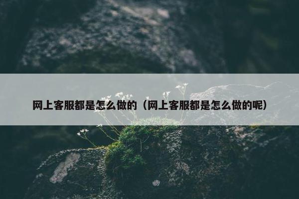 网上客服都是怎么做的（网上客服都是怎么做的呢）