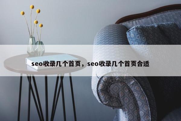 seo收录几个首页，seo收录几个首页合适