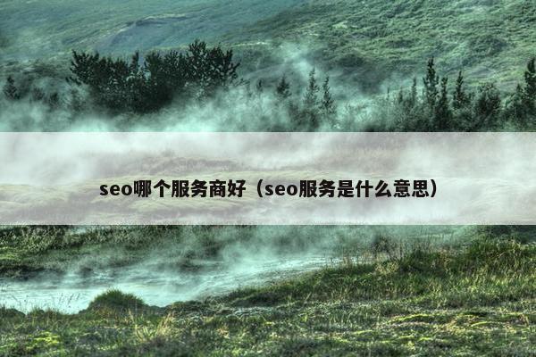 seo哪个服务商好（seo服务是什么意思）