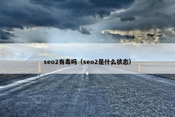 seo2有毒吗（seo2是什么状态）