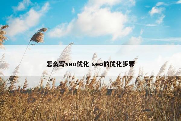 怎么写seo优化 seo的优化步骤