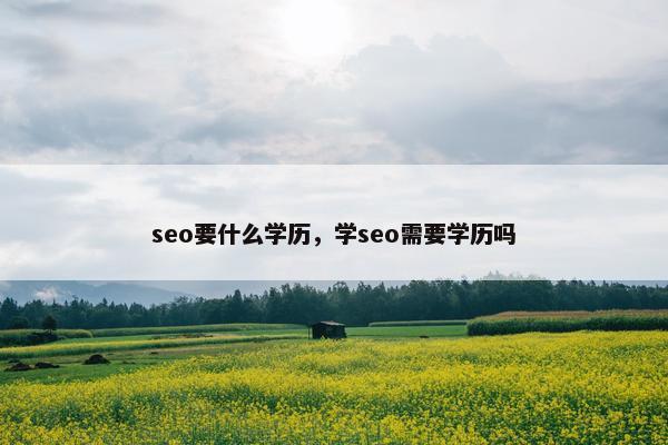 seo要什么学历，学seo需要学历吗