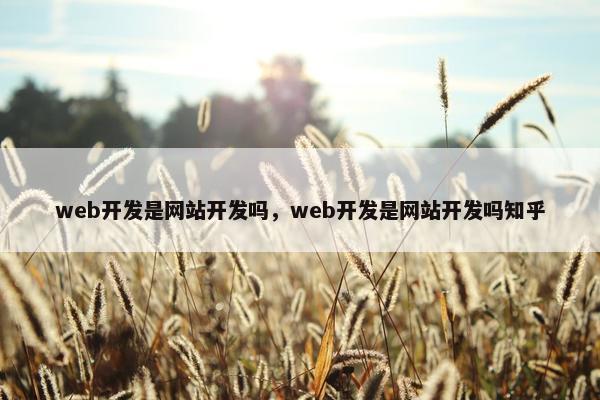 web开发是网站开发吗，web开发是网站开发吗知乎