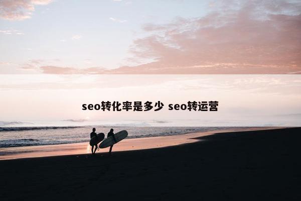 seo转化率是多少 seo转运营