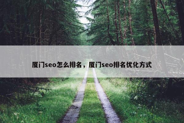 厦门seo怎么排名，厦门seo排名优化方式