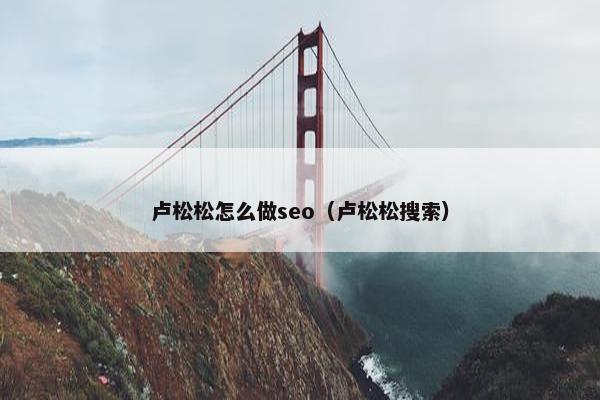 卢松松怎么做seo（卢松松搜索）