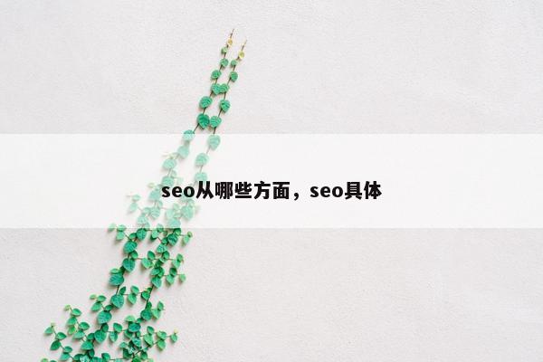 seo从哪些方面，seo具体