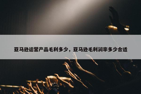 亚马逊运营产品毛利多少，亚马逊毛利润率多少合适