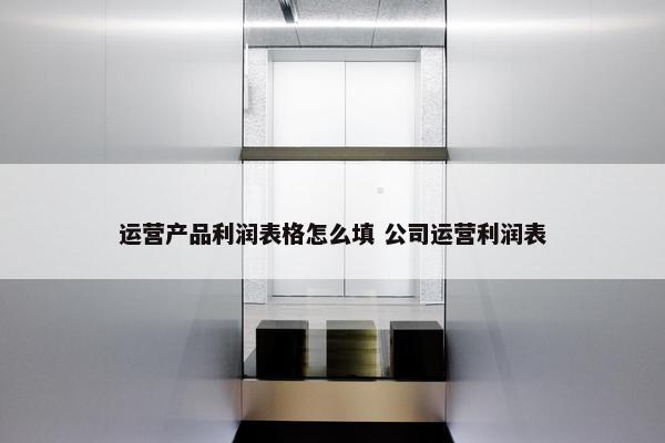 运营产品利润表格怎么填 公司运营利润表