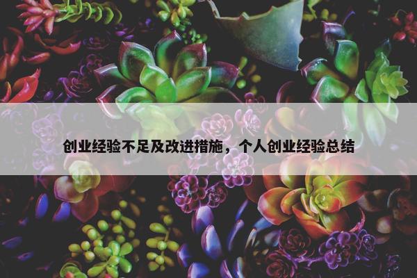 创业经验不足及改进措施，个人创业经验总结