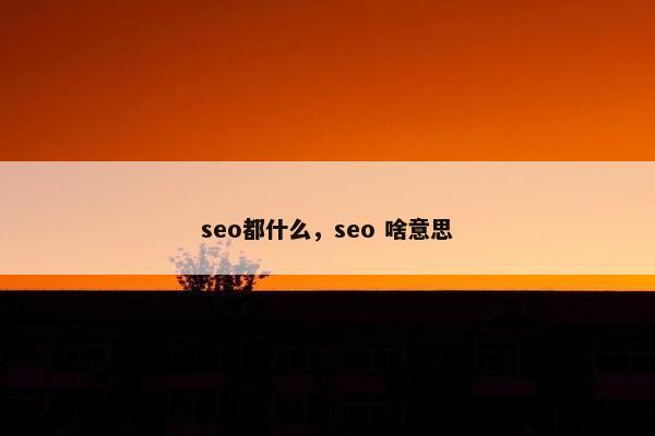 seo都什么，seo 啥意思