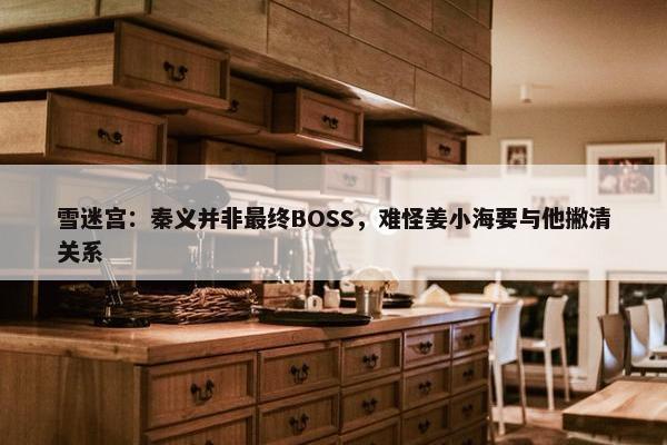 雪迷宫：秦义并非最终BOSS，难怪姜小海要与他撇清关系