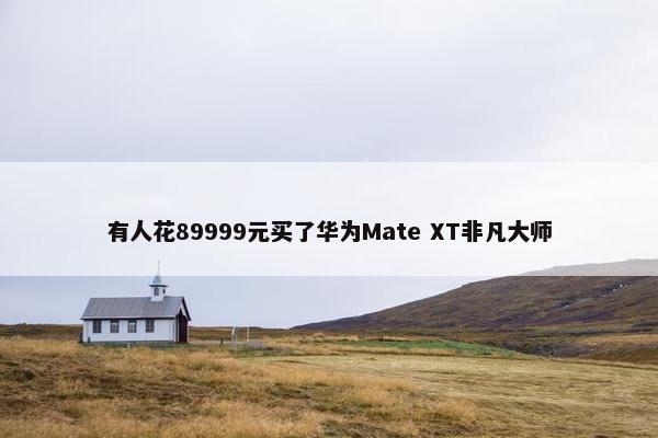 有人花89999元买了华为Mate XT非凡大师