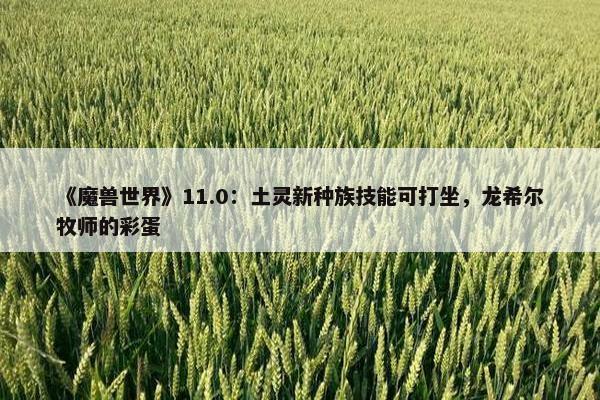 《魔兽世界》11.0：土灵新种族技能可打坐，龙希尔牧师的彩蛋