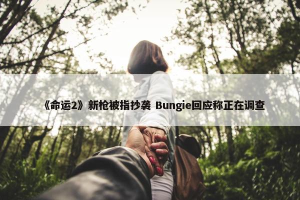 《命运2》新枪被指抄袭 Bungie回应称正在调查