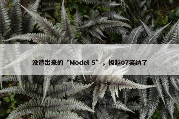 没造出来的“Model 5”，极越07笑纳了