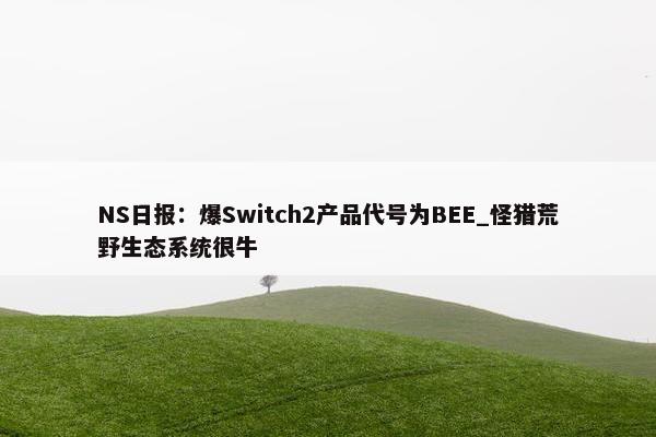 NS日报：爆Switch2产品代号为BEE_怪猎荒野生态系统很牛