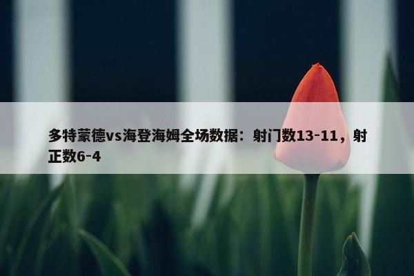 多特蒙德vs海登海姆全场数据：射门数13-11，射正数6-4