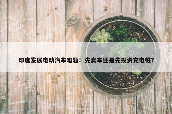 印度发展电动汽车难题：先卖车还是先投资充电桩？