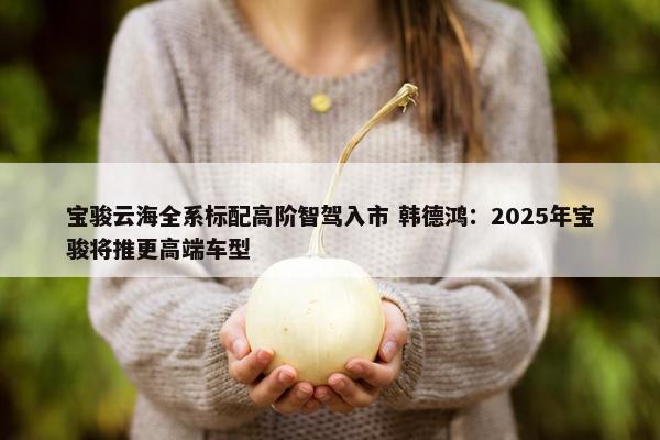 宝骏云海全系标配高阶智驾入市 韩德鸿：2025年宝骏将推更高端车型